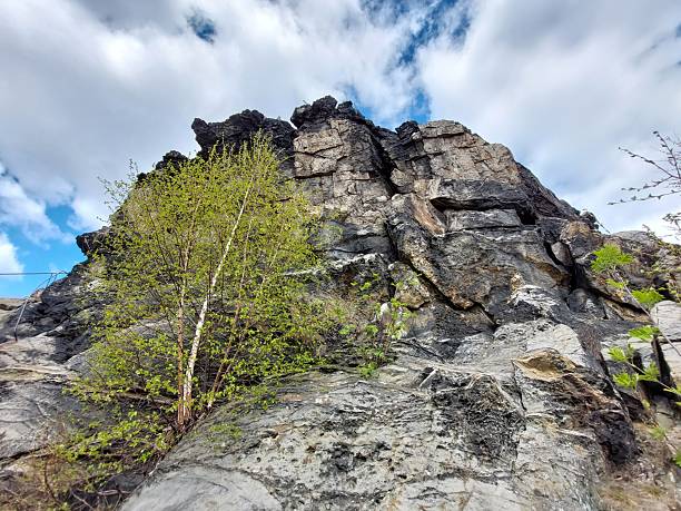 istock Dark rock face Grossvater in the Harz mountains with young birch tree growing beside textured cliff 2221877123