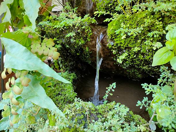 Water flows steadily from a stone source into a small pond surrounded by green plants. Sunlight reflects off the water surface which adds to the natural scenery.
