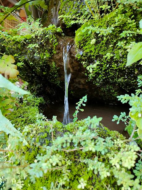 istock A Small Natural Waterfall Amid Lush Green Moss 2221877889