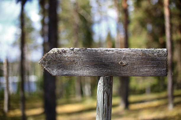 istock Weathered wooden signpost pointing through a quiet forest path with blurred background 2221878265