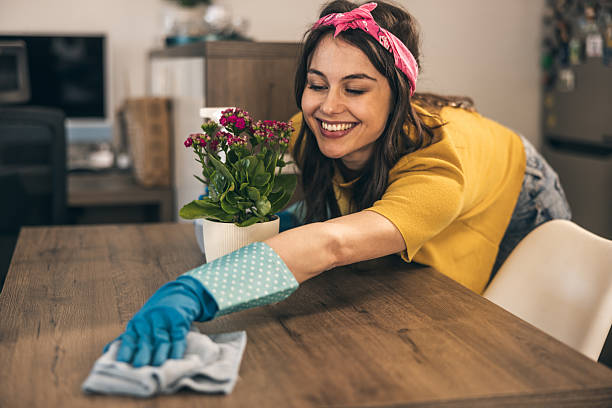 istock Woman Cleaning Home 2221879404