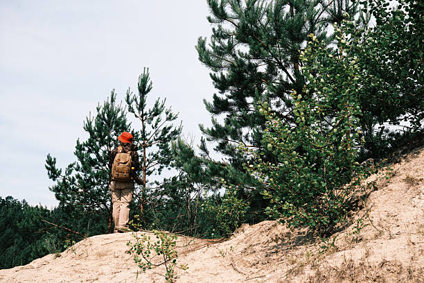 Single active woman of 50 is walking around pine forest in summer