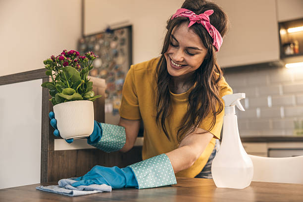 istock Woman Cleaning Home 2221879444