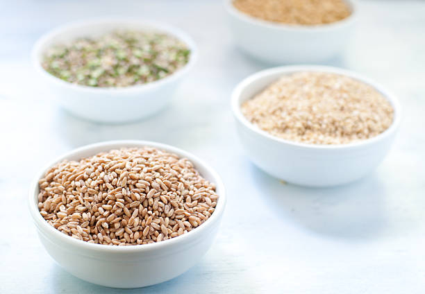 Cereal grains , barley , soybean , rice , millet , spelled