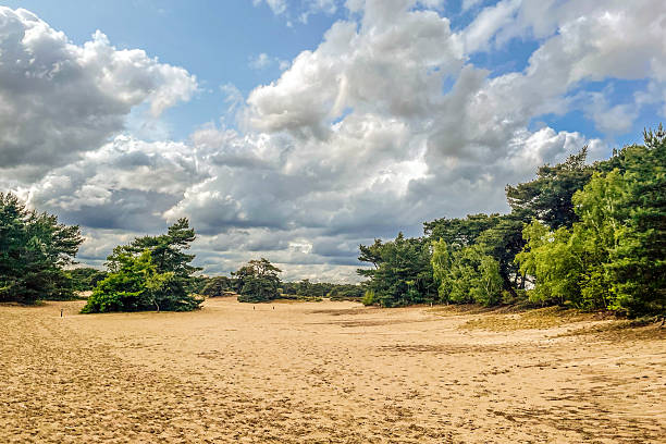 istock Serene Sand Dunes and Cloudscape in Soest 2221882213