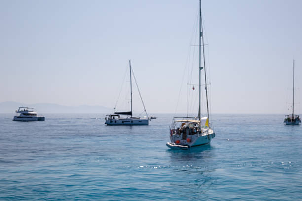 Several Boats Sailing on the Calm, Open Blue Sea Under a Clear Sky