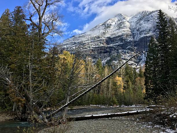 near McDonald Creek
