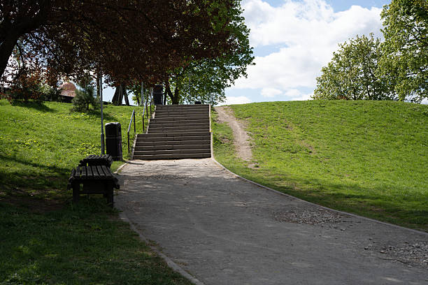 serene park path leads to sunlit stone steps, flanked by lush green grass and trees under a partly cloudy sky, capturing a peaceful and inviting outdoor atmosphere. exploration, breeze, calm