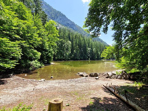 istock lake Ruhpolding Taubensee 2221889906