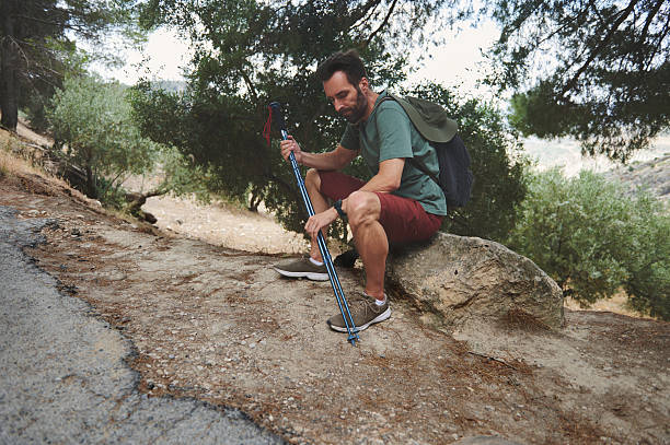 Solo Hiker Pausing on a Scenic Forest Trail During an Outdoor Adventure