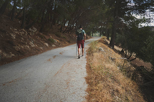 istock Rear View of a Hiker on a Peaceful Forest Path with Trekking Poles 2221893067
