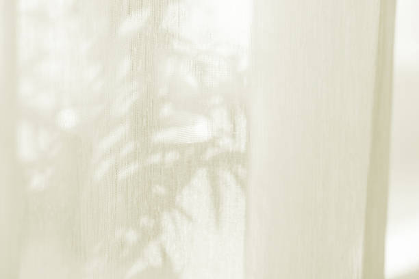 istock Sunlight on curtain, blurred shadow tulle background, sheer curtains, silk veil fabric 2221894012