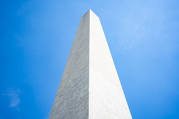 Washington Monument Surrounded by Lush Green Grass and Calm Atmosphere