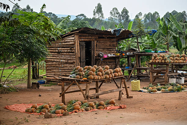 istock Roadside fruit stand in rural Uganda 2221897570