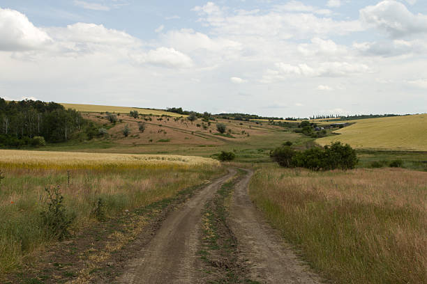 istock A dirt road through a grassy field 2221912338