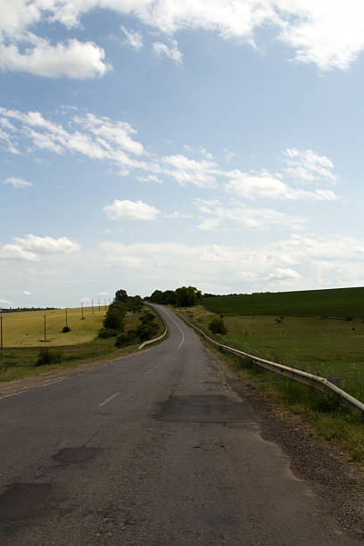 istock A road with grass and trees on both sides 2221912482