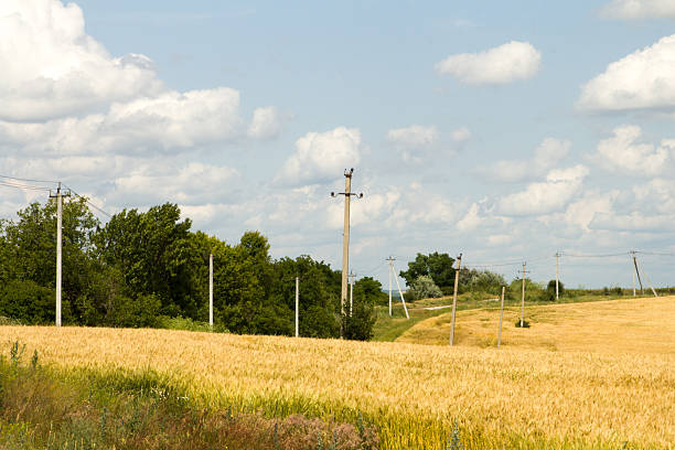 istock A field of grass and trees 2221912594