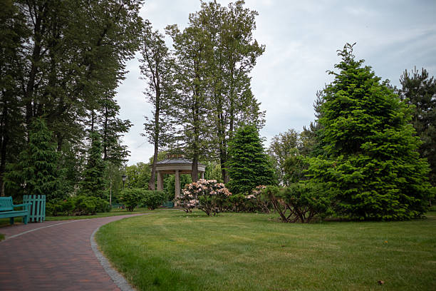 istock Green alley with trees in the park 2221914656