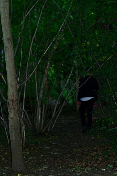 istock Dark walk in the woods 2221915276