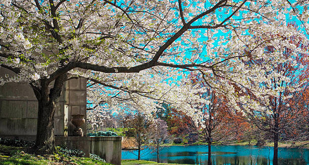 istock Green-Wood Cemetery in Brooklyn 2221923636