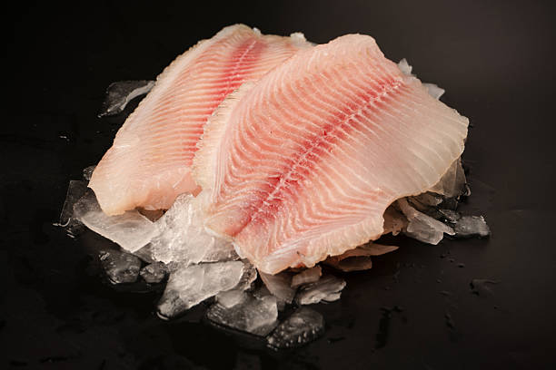 istock Fresh tilapia fillet on ice on black background 2221929029