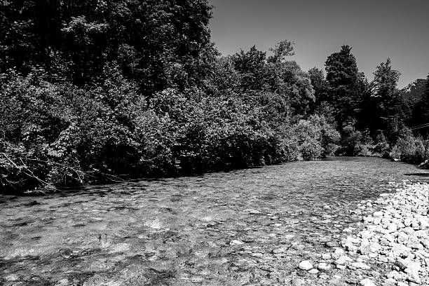 istock River flowing through a forest in black and white 2221929783