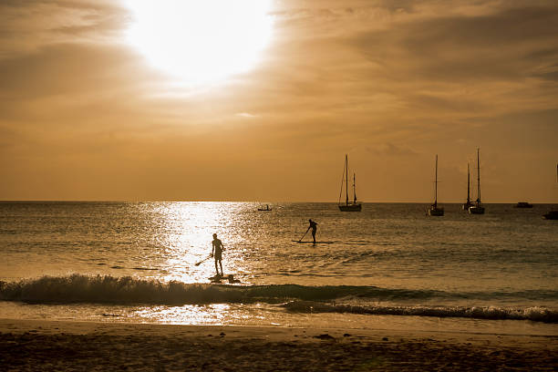 Paddle boarders at sunset in Pebbles Beach area, Caribbean sea, Barbados, West Indies, Eastern Caribbean.