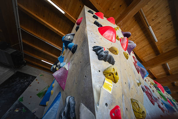 Detailed view of various textured climbing holds on an indoor bouldering wall. The image captures grips of different shapes, including a black organic hold, yellow ergonomic features, and bold red volumes. The wooden ceiling and warm lighting create a cozy gym environment, while the image stays free of any branding or human presence, ideal for editorial or fitness-themed use.