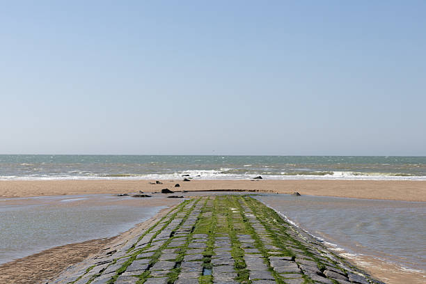 istock Coastal Pathway Leading to Sea 2221937073