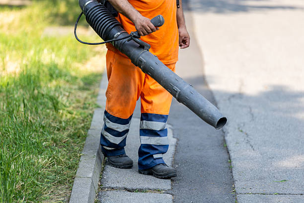 Man wearing work clothes and gloves using leaf blower to clear fall leaves from green grass and sidewalk in yard