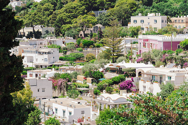 istock Stunning Capri Island, Italy landscape with vibrant architecture. 2221944885