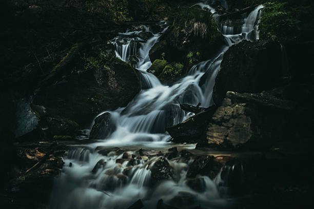 Calm cascading waterfall flowing over moss-covered rocks amidst a shaded forest environment with rich greenery, showcasing the peace and beauty of untouched nature. Ideal for illustrating calming natural scenes.