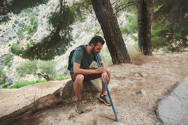 istock Hiker Resting Under Trees in Serene Mountain Landscape During a Nature Trek 2221949740