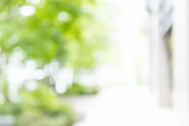 istock Office street with blurred background 2221949978