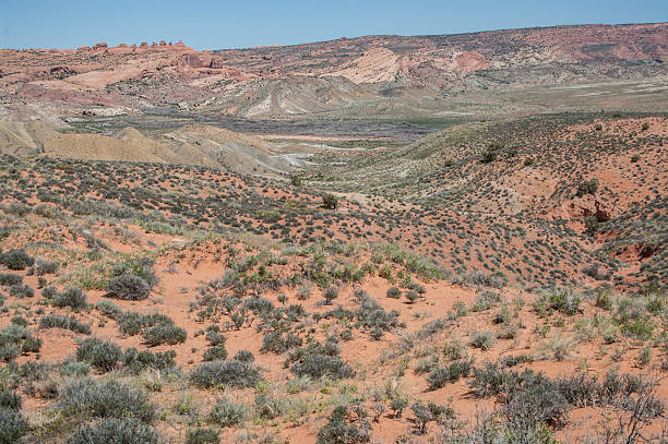 istock Utah Desert Landscape 2221951216