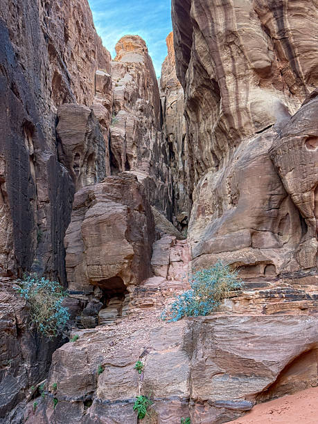 istock Gorge in Wadi Rum, Jordan 2221951251