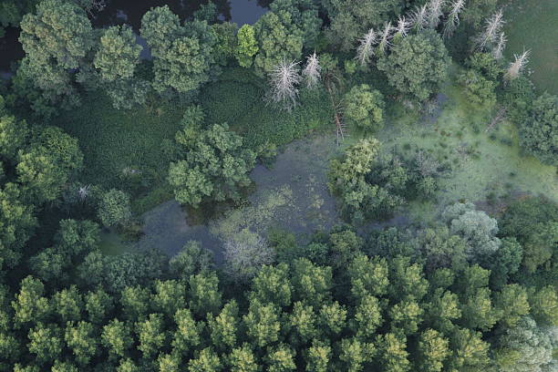 istock Aerial view - Hot Air Balloon 2221951934