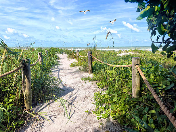 istock Tropical white sandy beach footpath over sunny blue sky in early morning 2221958572