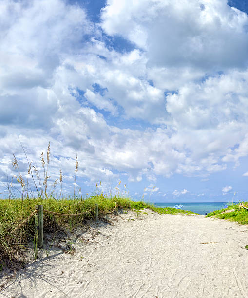 istock Tropical white sandy beach footpath over sunny blue sky in early morning 2221958658