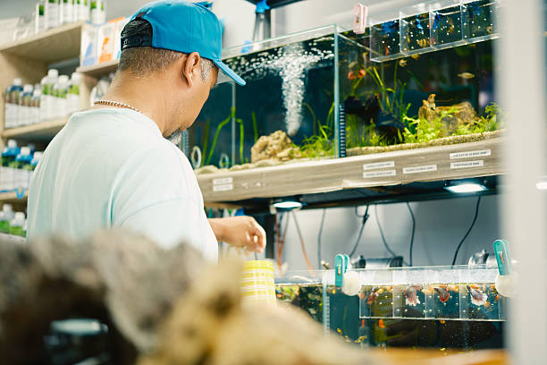 istock Worker placing product in fish tanks in pet store 2221959149