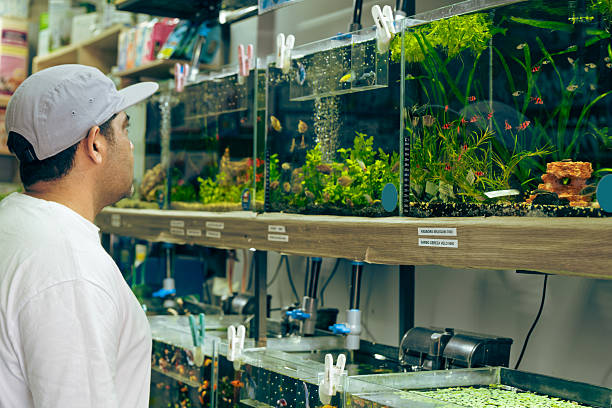 istock Customer looking at aquariums in fish shop 2221959168