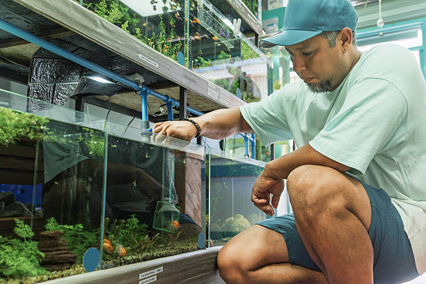 istock Fish tank maintenance in aquarium supply store 2221959196