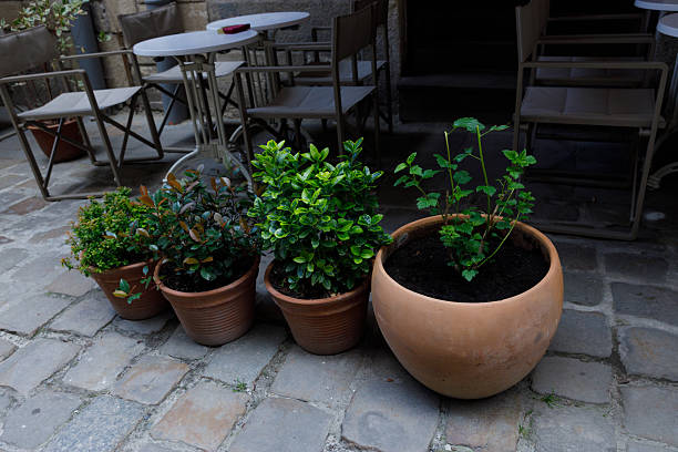 istock Charming Outdoor Patio Area Featuring Potted Plants in a Cozy Courtyard Setting with Elegant Furniture and Stone Pavers, Inviting Atmosphere for Relaxation and Enjoyment 2221959763