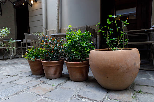 Charming Outdoor Planters Displaying Lush Greenery in Terracotta Pots on Cobblestone Pathway Complementing the Cozy Caf Ambiance