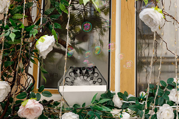 Charming Decorative Setup Featuring Faux Roses, Bubbles, and Natural Elements Captured in a Delightful Scene with an Inviting Ambiance