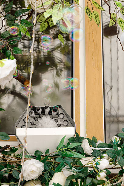 istock A Charming Scene Featuring a Bubble Machine Surrounded by Lush Greenery and Beautiful White Flowers with Shimmering Soap Bubbles in the Air, Capturing a Playful Atmosphere 2221960895