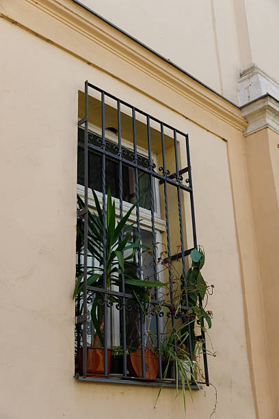 istock A Captivating Window Display Showcasing Vibrant Green Plants Behind Elegant Iron Bars on a Soft Yellow Wall in a Charming Urban Setting 2221965141