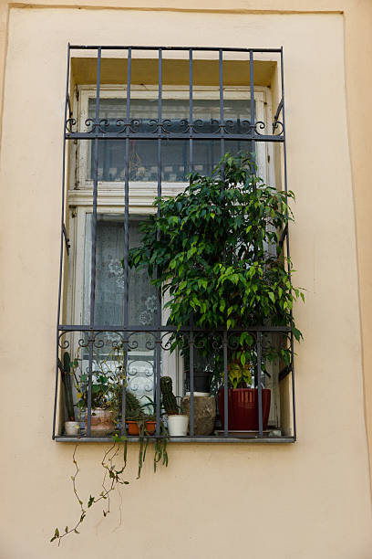 A Charming Window Display Adorned with Lush Green Plants Creating a Serene Ambiance in the Heart of the City, Offering a Touch of Nature Amidst Urban Life