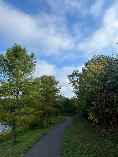 istock Pathway cutting through green trees with blue sky and clouds 2221970969