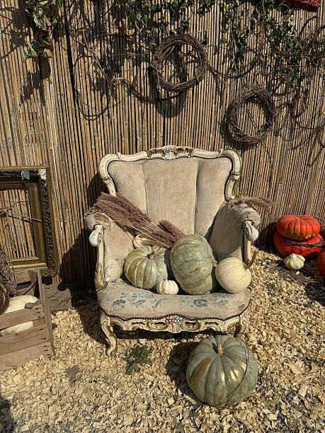 istock Vintage white wingback chair with fall decorations and pumpkins 2221971170